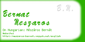 bernat meszaros business card