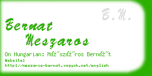 bernat meszaros business card